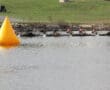Team rowing in synchronization past a yellow buoy on a calm lake during a sunny day.