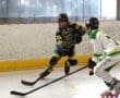 Two youth hockey players in action on an indoor rink, one in black and yellow, the other in green and white.
