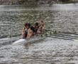 Four-person rowing team competing on a calm river with synchronized oars and sporting uniforms.