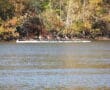 Rowers in a boat on a calm river with autumn trees in the background.
