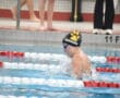 Swimmer in a pool competes in a race, wearing goggles and a swim cap, with a focus on technique.