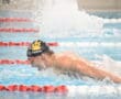 Swimmer performing butterfly stroke in pool, wearing black swim cap with yellow paw logo.