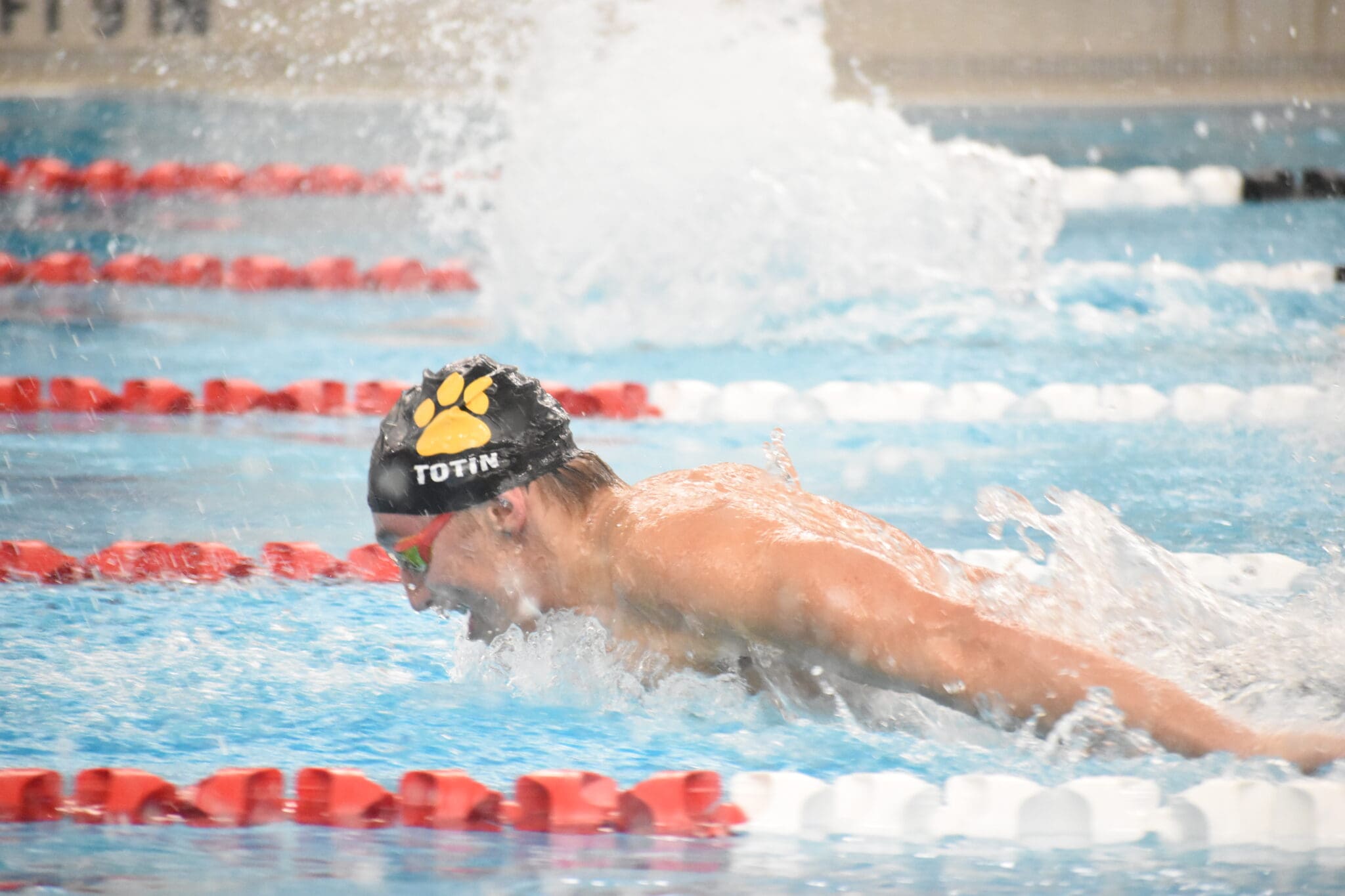 Photo Gallery of at Fox Chapel, 12-8-25