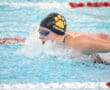 Swimmer performing butterfly stroke in competitive pool wearing black swim cap and goggles.
