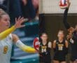 Story: Two Tigers Named All-State Girls’ Volleyball Players