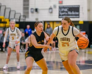 Basketball game action with Tigers player dribbling and opposing team member defending on court.
