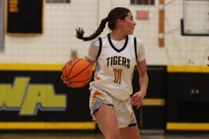 Female basketball player in white Tigers jersey dribbles the ball on the court during a game.