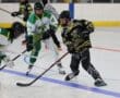 Roller hockey players in intense action on the rink; focused on stick handling and competition.