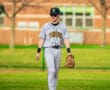 Baseball player in gray uniform walking on the field, preparing for the game. Green grass and trees in the background.