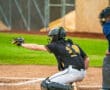 Baseball catcher signaling play from behind home plate during a game, with umpire in background on the field.