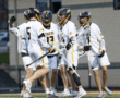 High school lacrosse team celebrating a goal, wearing white jerseys with tiger logos on a field during a match.