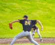 Young baseball pitcher in action on the mound, wearing jersey number 24, with a lush green field in the background.