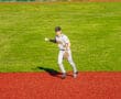 A baseball player in a gray uniform catches a ball on a vibrant red field, ready to make a play.