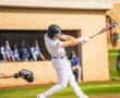 Baseball player in striped uniform swinging bat at home plate, with teammates in the background. Bright sunny day.