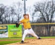 Young pitcher in bright yellow uniform throwing a baseball on a well-maintained field, with trees and lights in the background.