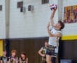 High school volleyball player serves the ball during a match, with teammates in the background, showcasing athleticism.