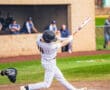 Baseball player in striped jersey swings bat during a game, capturing the excitement of a dynamic moment on the field.