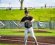 A baseball player in a black Tigers jersey prepares to throw a ball on a sunny diamond with spectators in the background.