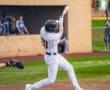 Baseball player in pinstriped uniform swinging a bat during a game, with a catcher visible in the foreground.