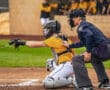 A baseball catcher prepares to receive a pitch as the umpire watches closely behind him. Team members are visible in the background.