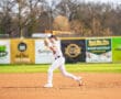 Player in striped uniform prepares to throw a baseball on a sunny field, showcasing athleticism and teamwork.