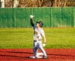 Baseball player celebrating a hit on a vibrant field, wearing team jersey and cap, pointing upward with excitement.