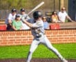 Young baseball player preparing to swing a bat, with a crowd in the background during a sunny game day.
