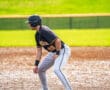 Baseball player in a black jersey crouching at base on a sunny field, ready for action during a game.