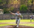 Young baseball pitcher in gray uniform throws a pitch on a sunny day, with teammates in action on the field behind him.