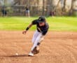 A player in a black jersey and white pants fields a ground ball on a sunlit baseball diamond.