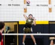 Boy in a volleyball uniform jumping to spike a ball over the net during a game in a gymnasium.