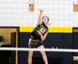 A young volleyball player jumps to serve during a match, showcasing athleticism and focus on the court.