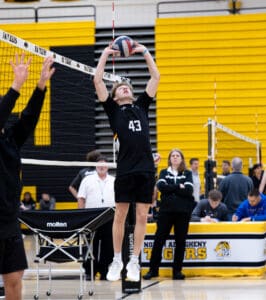 High school volleyball player #43 preparing to set the ball during a match, with fans and coaches in the background.