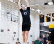 A volleyball player in jersey number 43 jumps to set a ball over the net during a team match in a gymnasium.