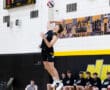 High school volleyball player serves a ball during a match, teammates cheering on the sidelines. Score 17-10.