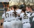 Cheering softball team celebrates a victory on the field, showcasing team camaraderie and excitement.