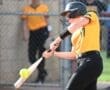 Story: Tigers drop tight one to Pine-Richland