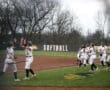 Softball players celebrate a victory at the field, showcasing teamwork and enthusiasm during a game.