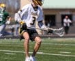 Lacrosse player in a white jersey with Tigers on it, running on the field while holding a lacrosse stick.