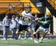 Action shot of two lacrosse players competing on the field, with spectators in the background. Bright sunny day.