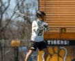 Lacrosse player in action on the field, ready to pass, wearing a helmet and team jersey with Tigers logo.