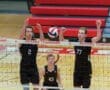 Story: Seven Tigers Named To All-WPIAL Team