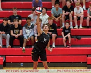 High school volleyball player #14 prepares to serve the ball, with an engaged crowd in the background.
