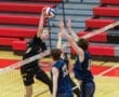 Story: Tigers Pounce On Panthers for PIAA First Round Win