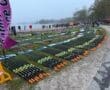 Colorful rowing oars displayed at an outdoor event near a lake, with people and tents in the background.