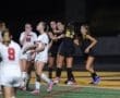 Story: Tigers shut out Fox Chapel in home opener