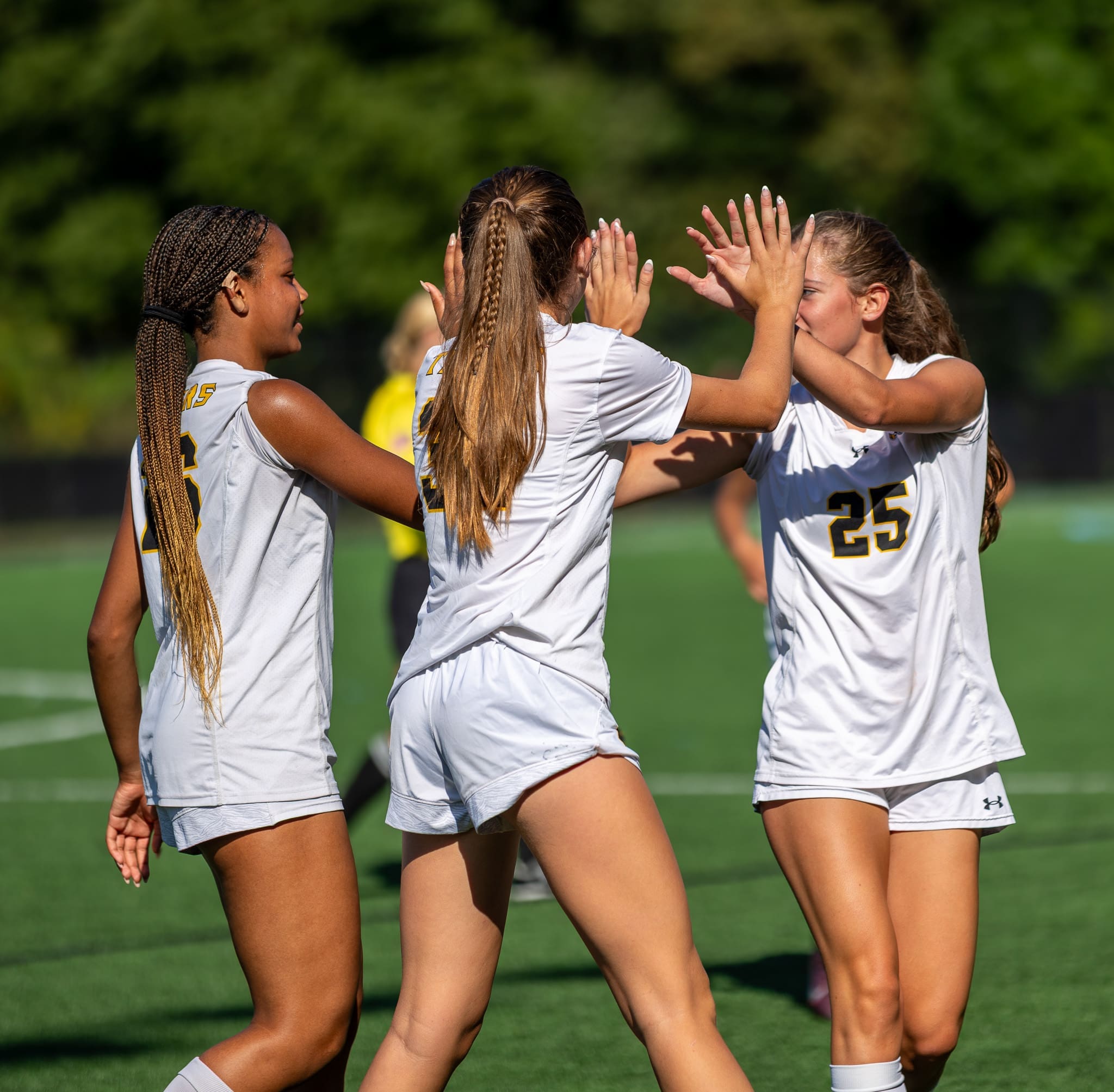 Photo Gallery of vs. Altoona, 8-29-26 (by: Lori Heim)