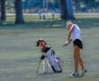 Young golfer striking a ball on the course, with a golf bag featuring a playful design in the background.