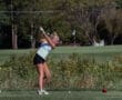 Golfer in action on a course, preparing to swing, with a golden and red ball on the tee. Green landscape in the background.