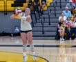 A volleyball player serves during a match, focused on the ball with fans in the background cheering.